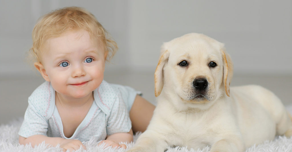 Unpopular Opinion? Some Moms Are Urging People to Stop Calling Their Pets “Fur Babies” - Featured image