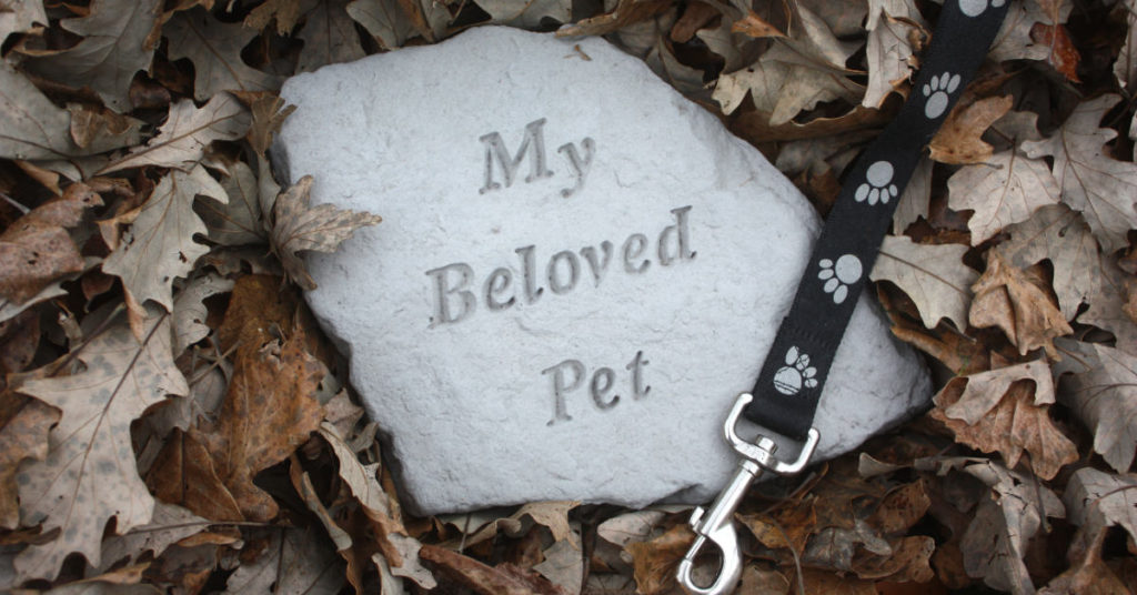 Losing A Pet Is More Painful Than Most People Think - Featured image