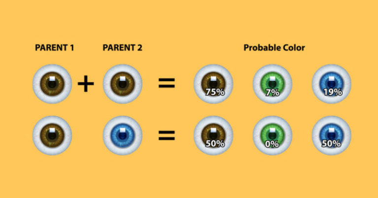 The Perfectly Imperfect Guide to What Your Future Child Will Look Like - Featured image