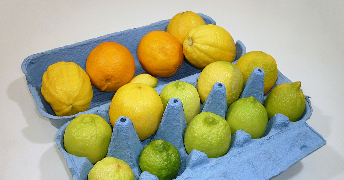 egg carton filled with lemons