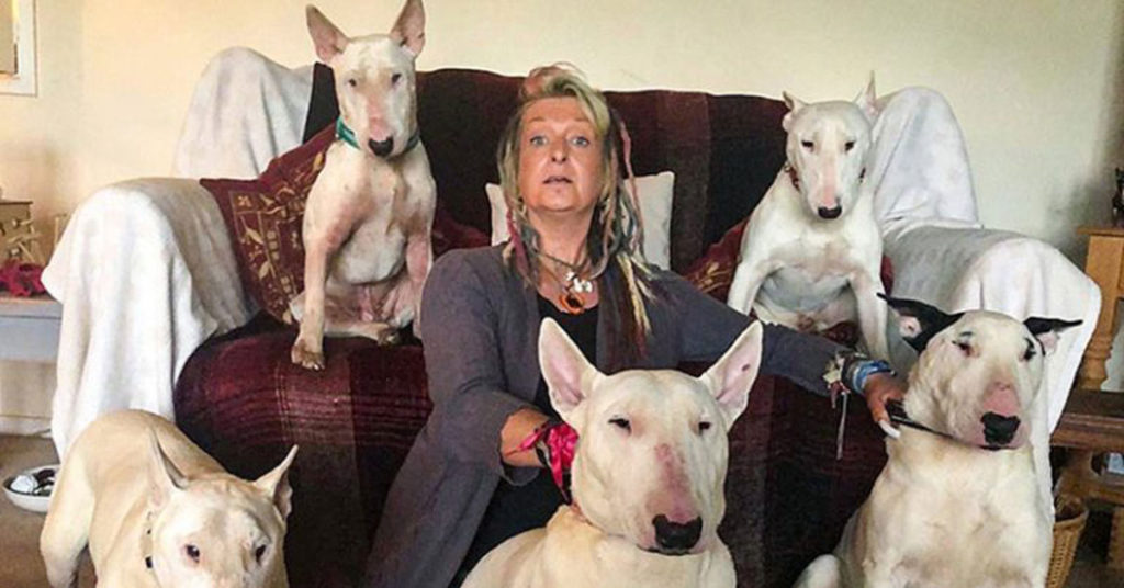 Man Made His Wife Choose Between Her Rescue Dogs And Him – She Picked The Dogs - Featured image