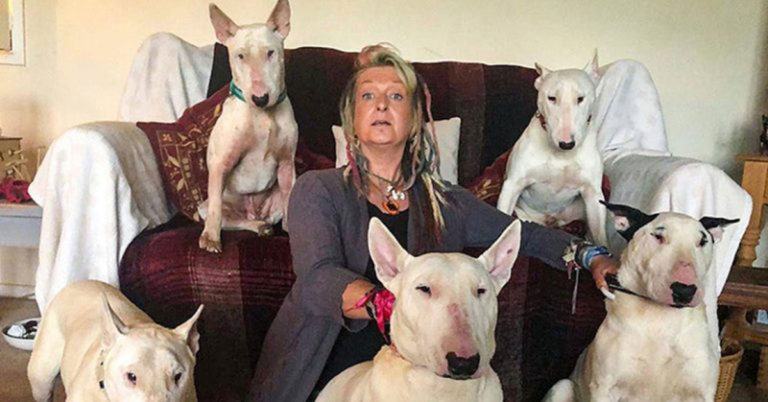Man Made His Wife Choose Between Her Rescue Dogs And Him – She Picked The Dogs - Featured image