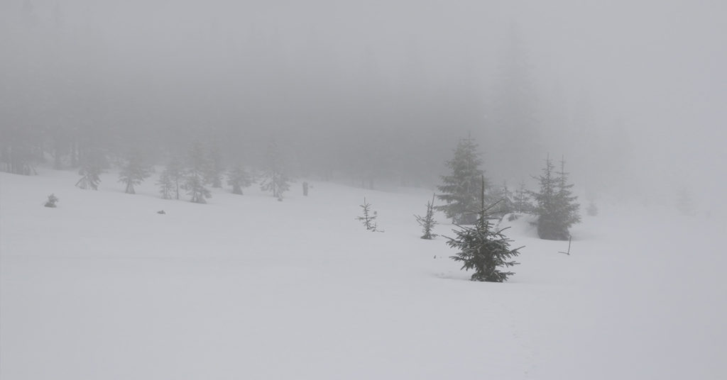 These 4 Alaskan Children Were Lost In Snow Storm and Found Alive; One Huddled Around 2-Year Old To Keep Him Warm - Featured image
