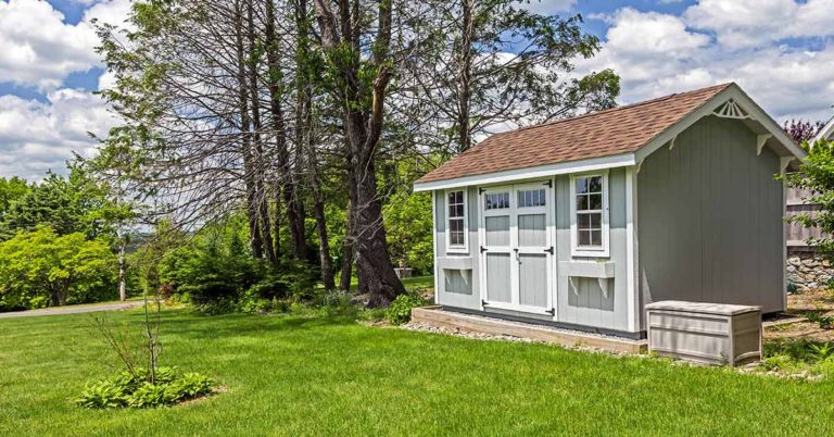 8-Year-Old Living In A Shed With His Family Invests Mom’s Last $12 To Change Family’s Fortune - Featured image