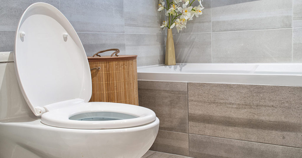 ‘My toilet spews SEWAGE every time I flush it; my house is flooded with poo’ - Featured image