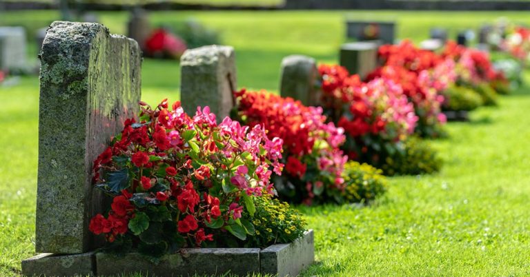 A Young Woman Wore Her Wedding Dress To The Cemetery To Visit Her Fiance On The Day That Was Supposed To Have Been Their Wedding - Featured image