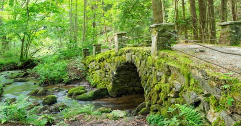 30 Years after Dad’s Death, 3 Children Receive a Letter Saying to Meet in Forest near an Old Bridge – a Short Story - Featured image