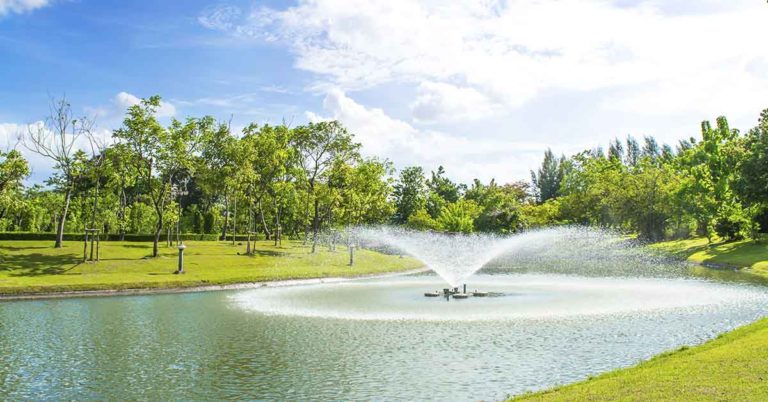 Plumber Notices Little Toes Floating To Lake Surface And Starts ‘Pulling’ 3-Year-Old From Water - Featured image