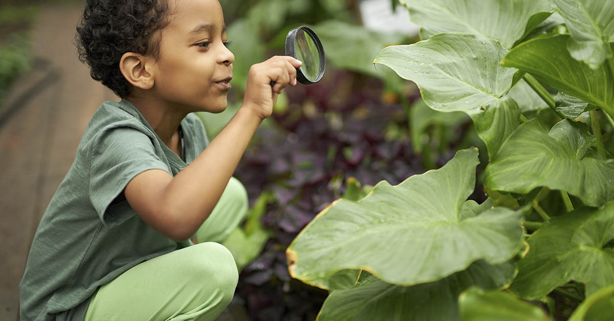 young child kneeling using a magnifying glass in a forested area