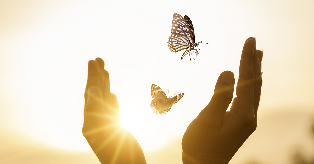 hand releasing butterflying with sun shining in behind