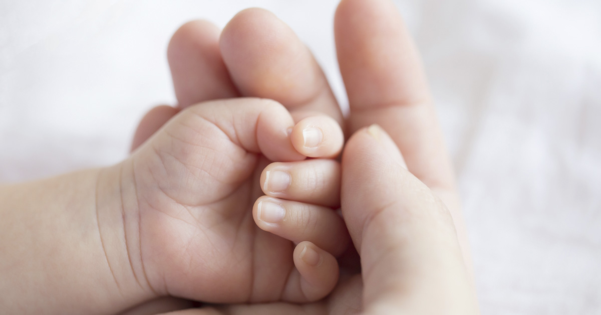 childs hand in palm of adults hand