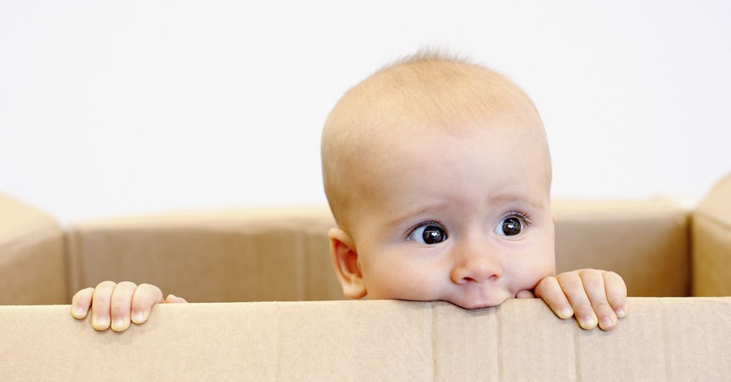 First Newborn Surrendered to Florida’s Only Safe Haven Baby Box - Featured image