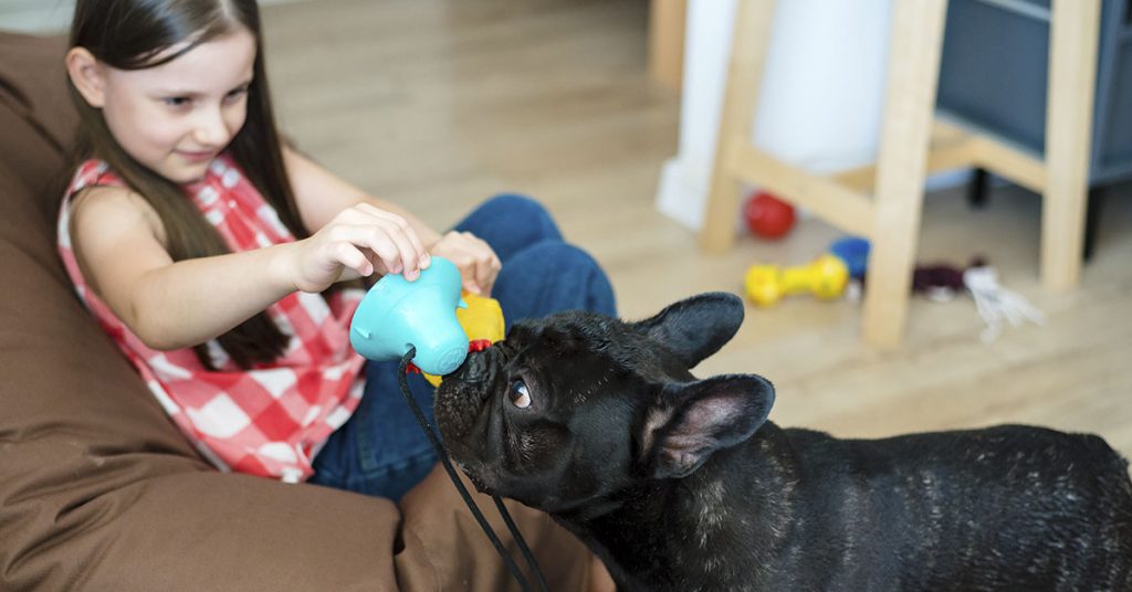 6 Year Old Child’s Explanation On Why Dogs Live Less Than Humans - Featured image