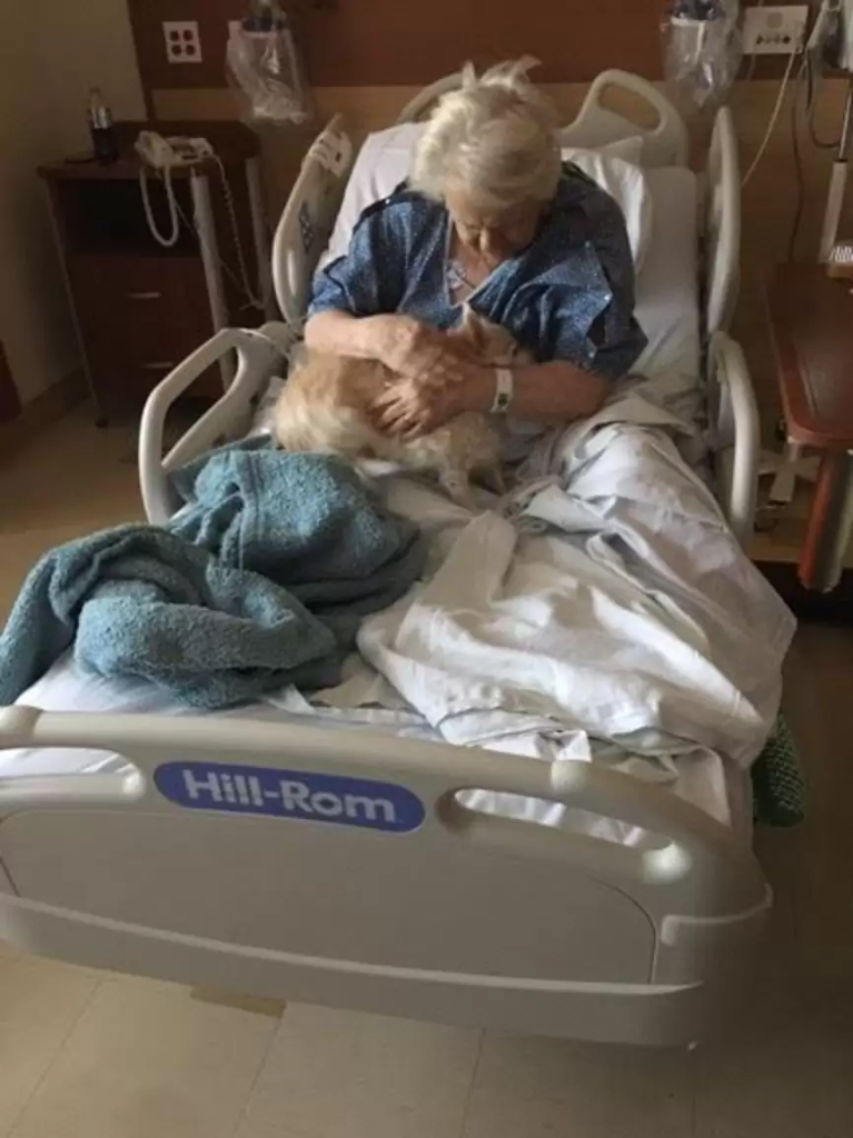 Patsy in her owner's arms at the hospital