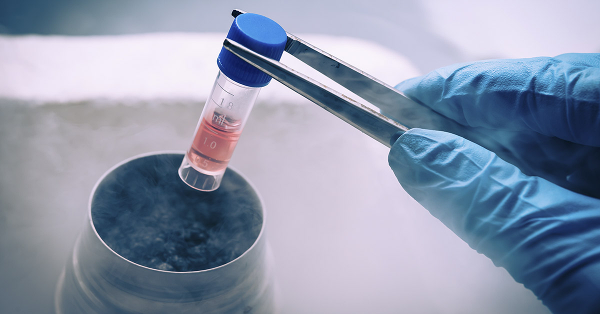 stem cells in test tube