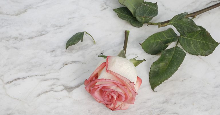 Karen Valentine, the star of ‘Room 222,’ recalls an ‘awful’ experience she had on ‘The Dating Game’ - Featured image