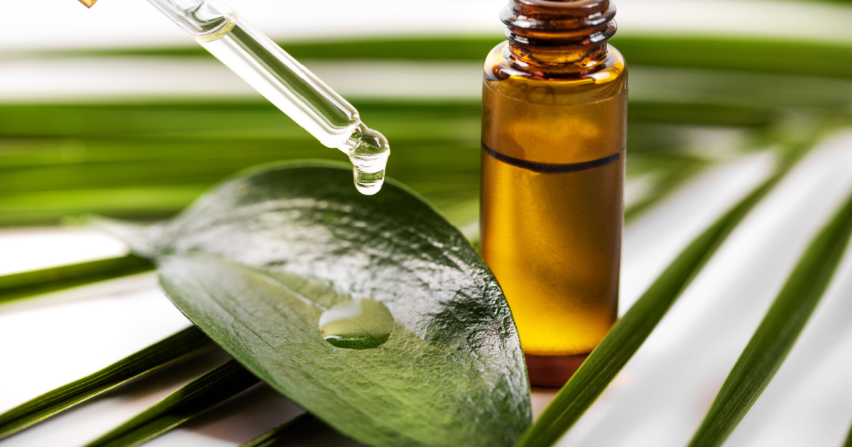 6 Ways to Kill Mold Naturally Secret Life Of Mom