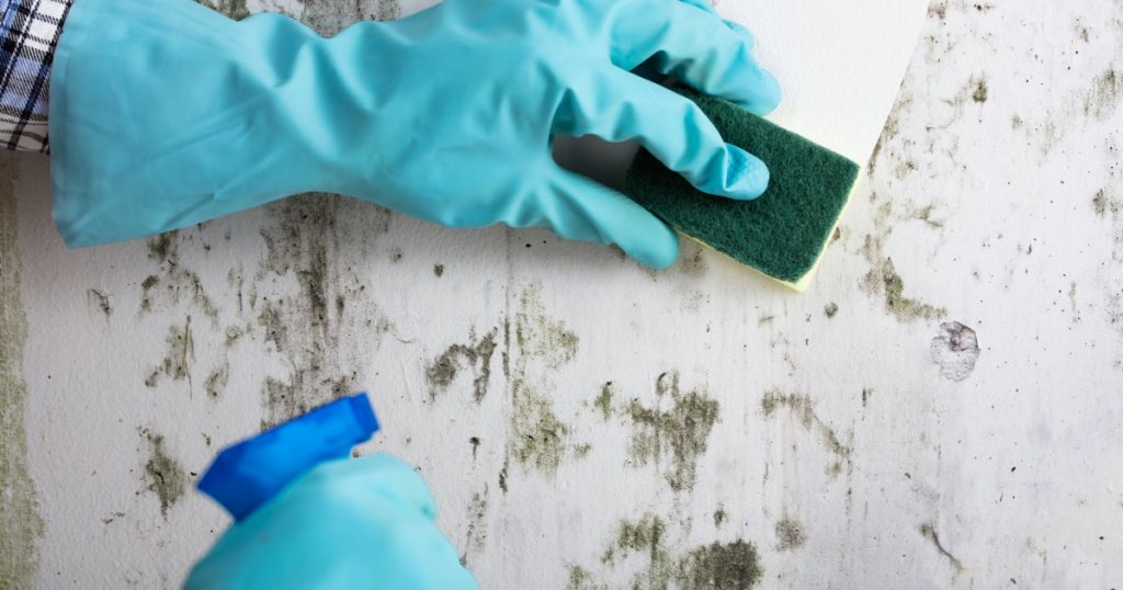 kill mold with Hydrogen Peroxide