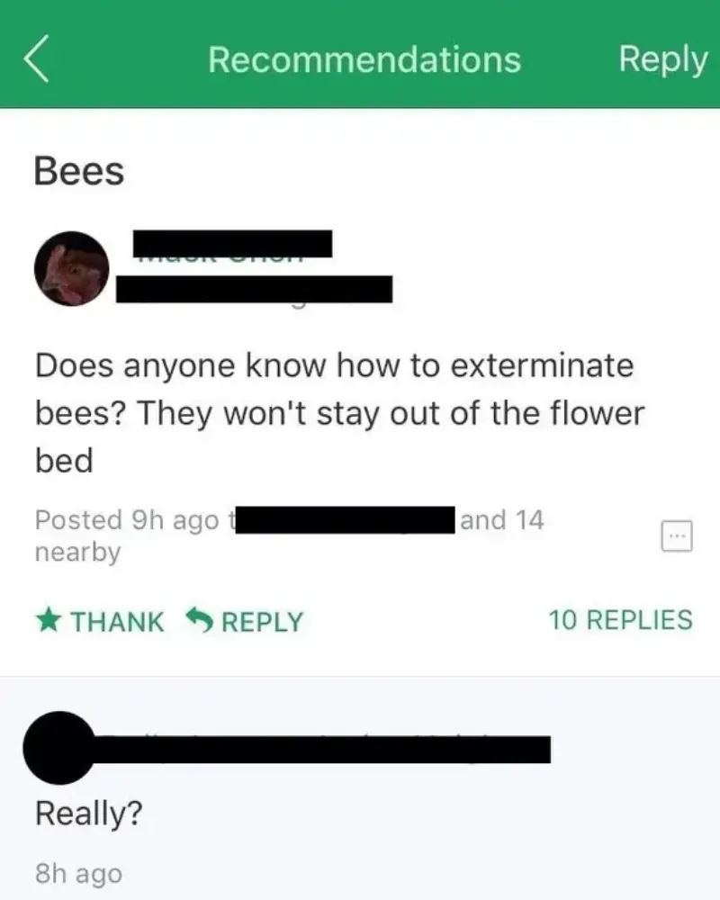 Awful neighbors killing bees