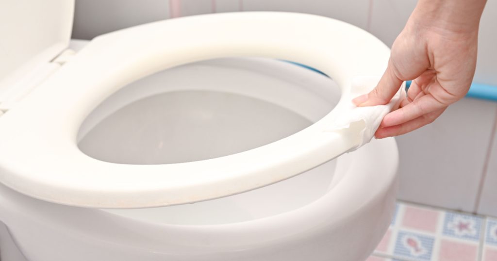 woman holding Toilet seat cover