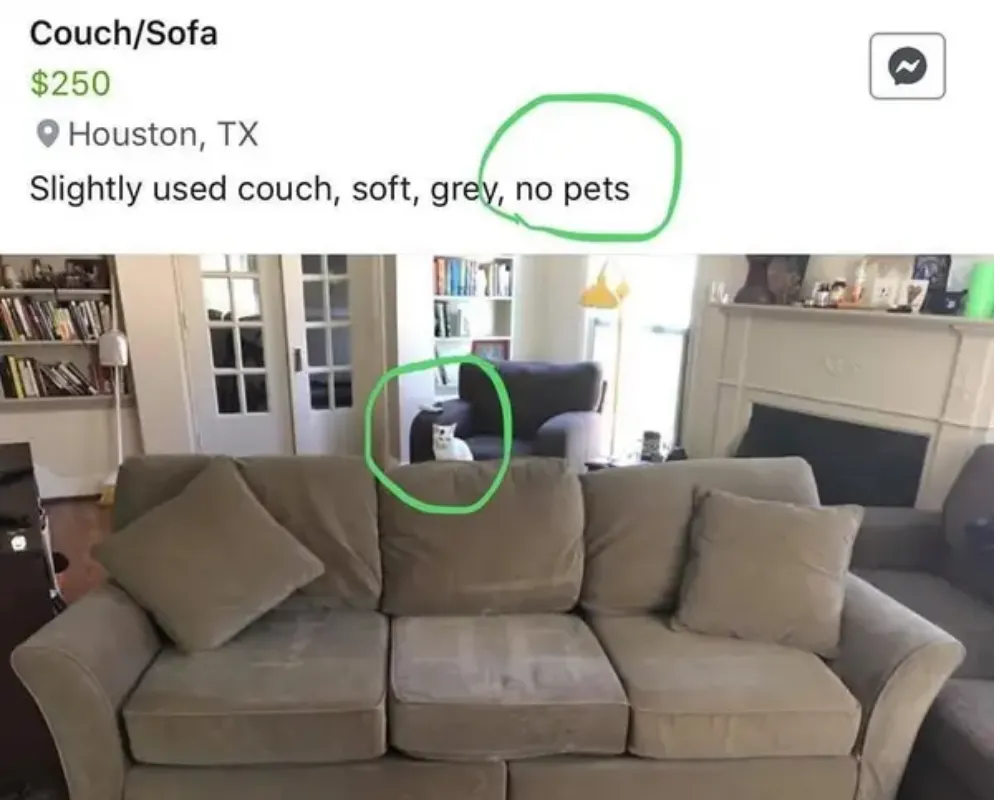 Couch for sale with cat