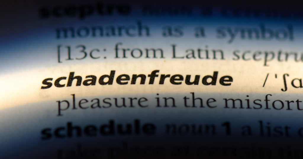 schadenfreude word in a dictionary. schadenfreude concept.
