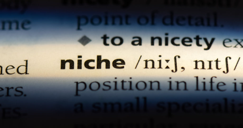 niche word in a dictionary. niche concept.

