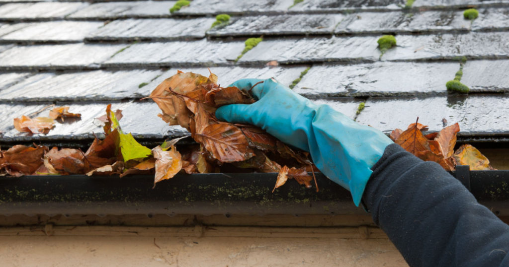 Clearing autumn gutter blocked with leaves by hand
