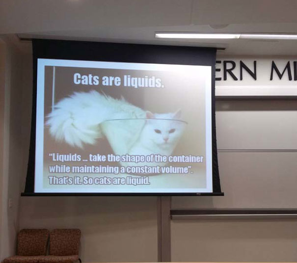 Physics teacher presenting about cats being liquid