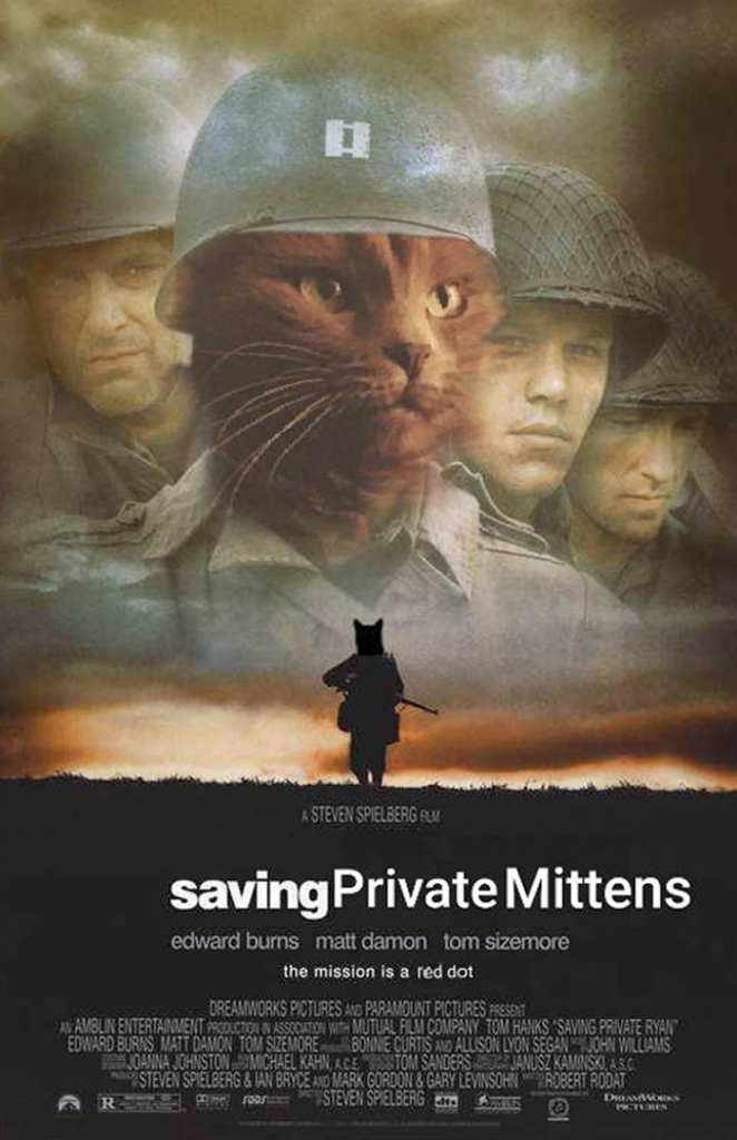 Cat photoshopped into move poster