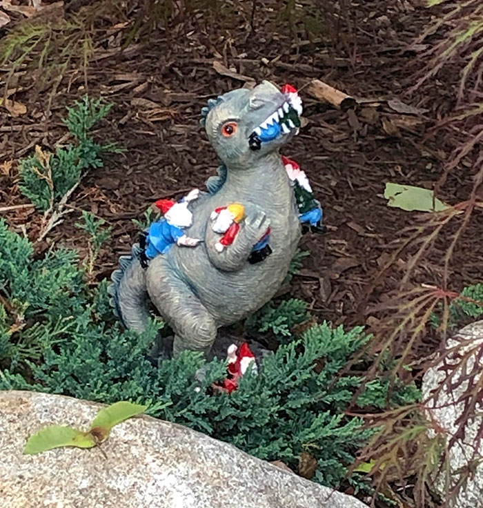 dinosaur garden ornament eating gnomes