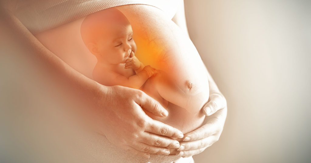 Pregnant woman's belly closeup with a baby inside, conceptual motherhood image
