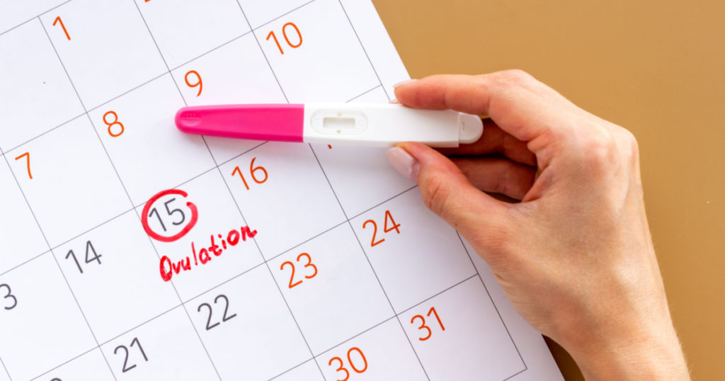 Ovulation home test in female hand over calendar with red mark
