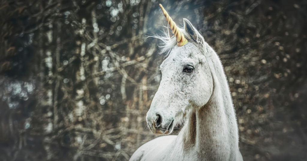Portrait of a white arabian horse dressed as unicorn outdoors
