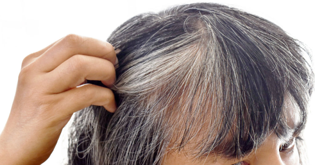 Asian lady with gray hair. Older woman with grey hair problem. Girl being stressed with damaged silver gray hair appearing on her head.
