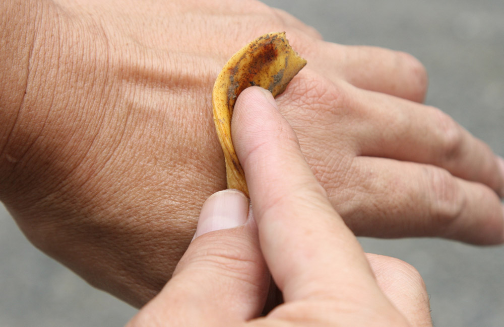 Simply rubbing a banana peel on your skin can assist in rapidly drying out warts without causing any discomfort