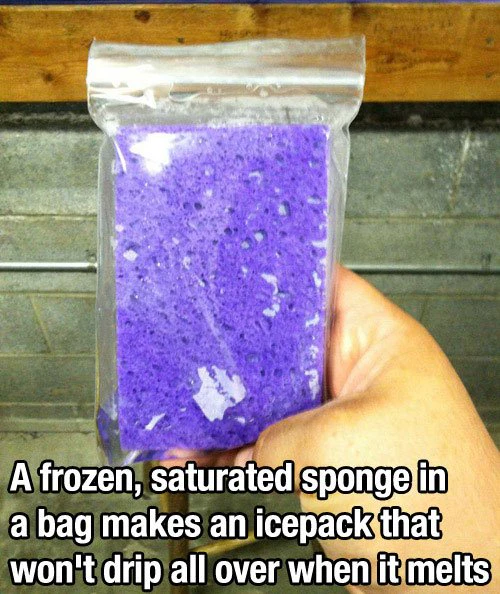 Keep things mess-free. Freeze a wet sponge in a sealable bag to create a non-dripping ice pack.