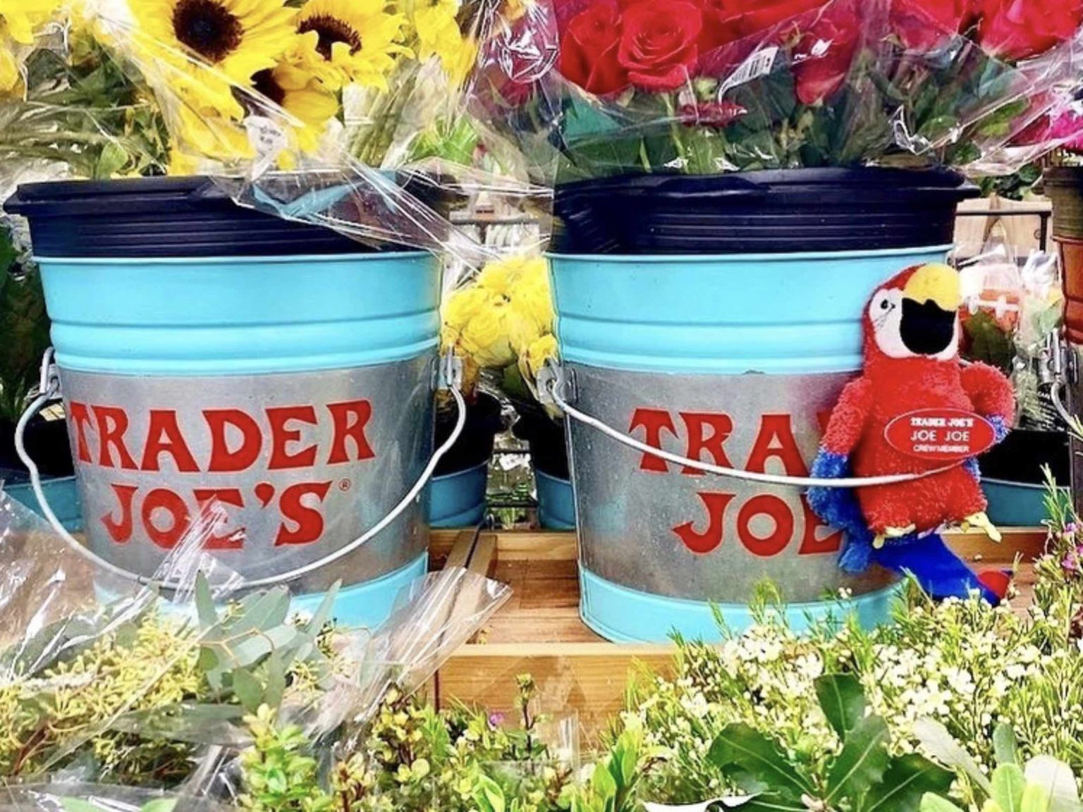 If You See a Stuffed Animal at Trader Joe’s This is What it Means
