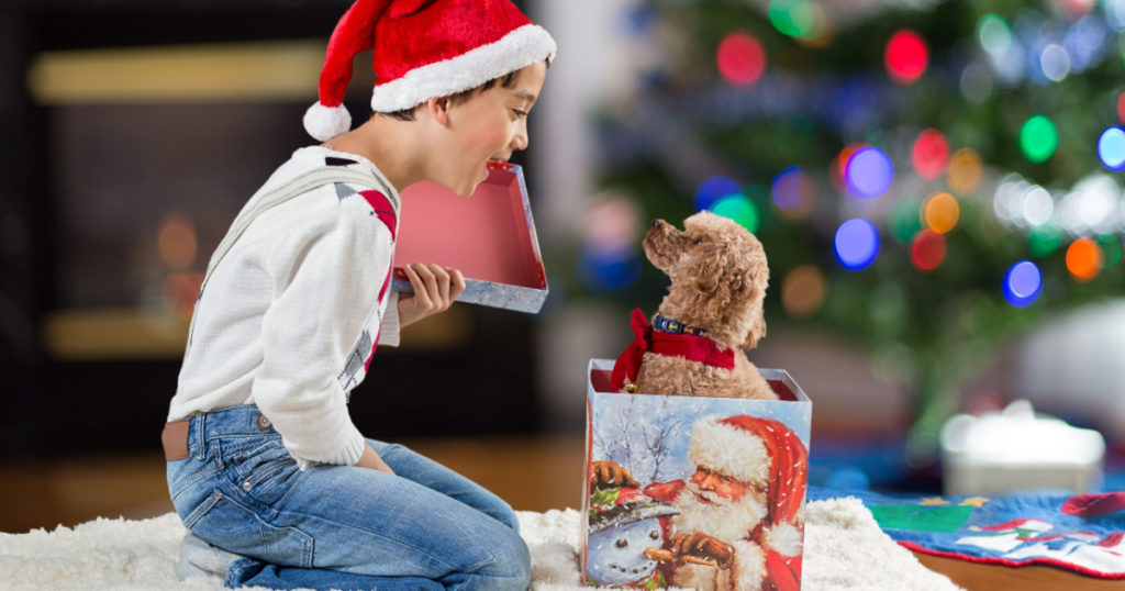 a child opening a christmas gift box with a puppy inside