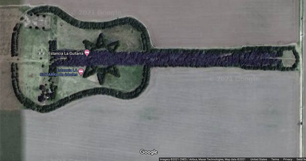 guitar-shaped forest