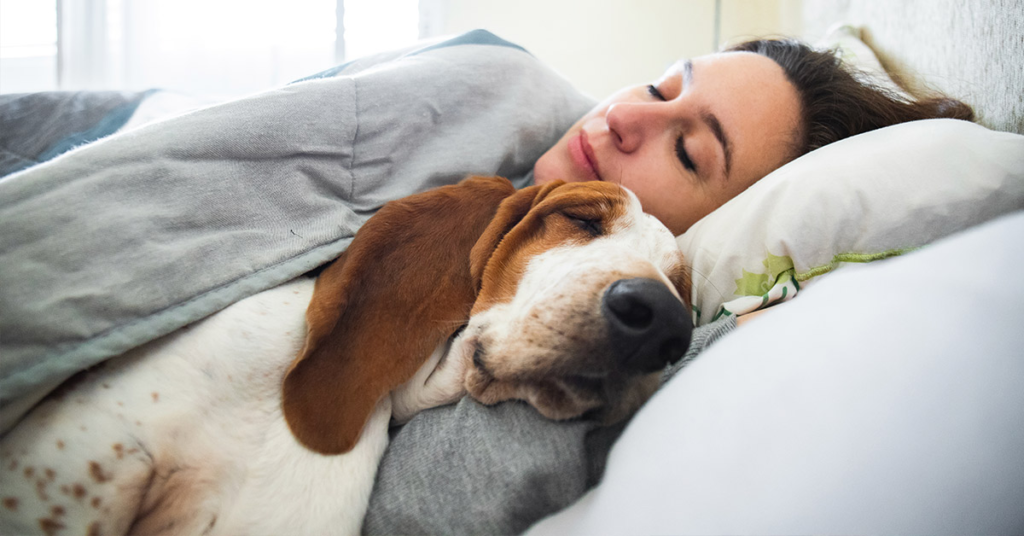 Science Shows That Women Sleep Better Next To Dogs Than Men - Featured image