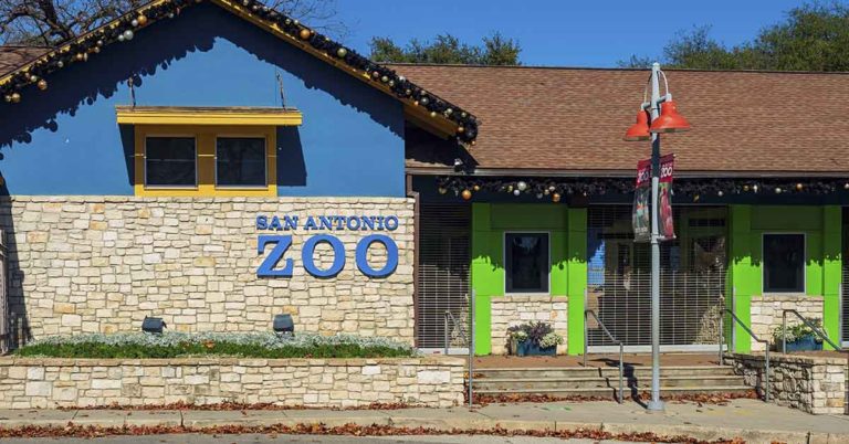 Angry at Your Ex? This Zoo Will Let You Name a Cockroach After Them and Feed to an Animal - Featured image