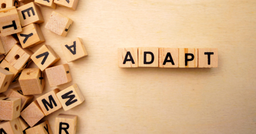 Adapt word cube on wood background