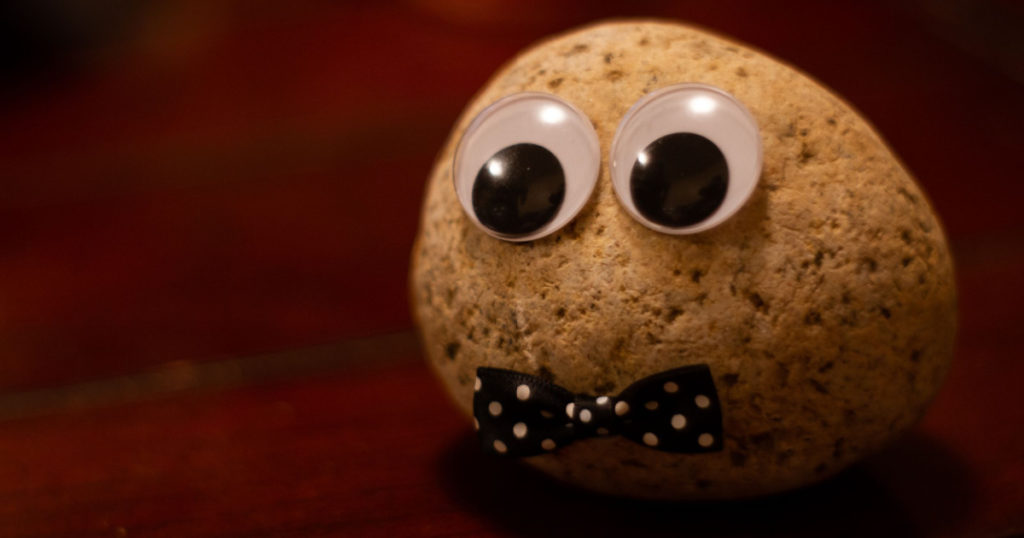 Pet rock dressed with a bowtie as a person