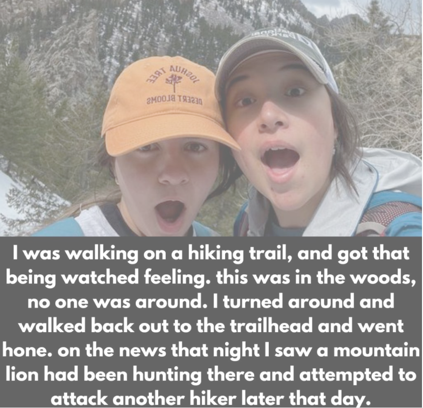 hiking attack post