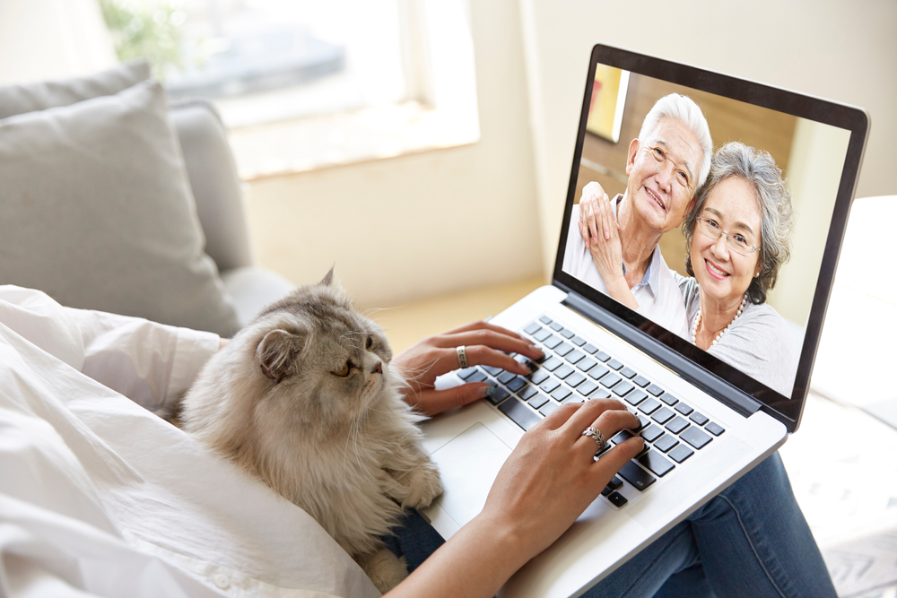 young asian adult daughter staying at home with pet cat talking to senior parents online via video chat using laptop computer