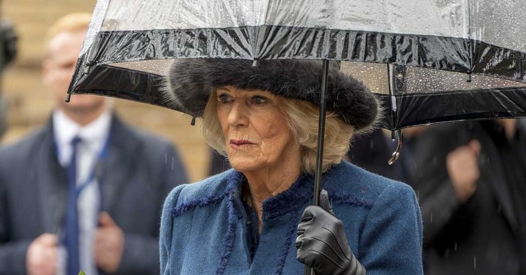 Queen Camilla ‘Outrage’ By Prince Harry After His ‘Loving Son PR Stunt’ Source Claims - Featured image