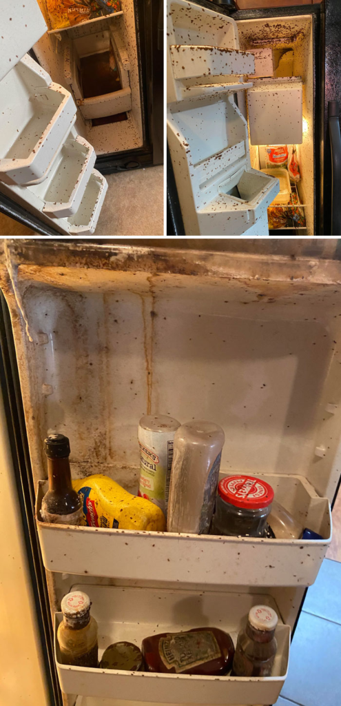 disturbing photos Moving Out And Leaving Your Fridge in This State