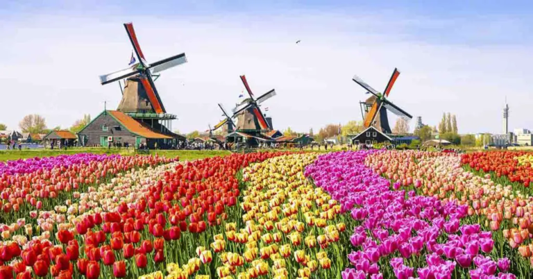 50+ Bizarre Things They Only Do In The Netherlands - Featured image