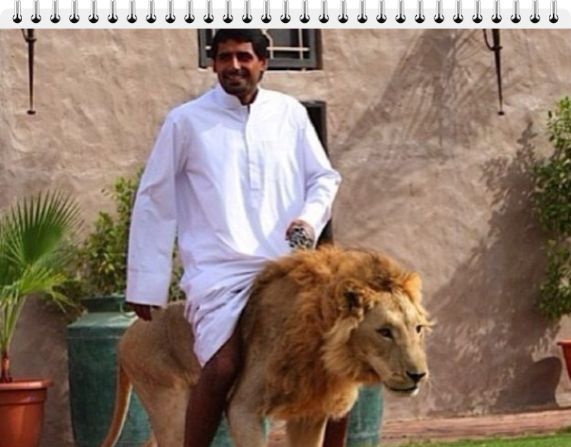 man riding a lion in Dubai